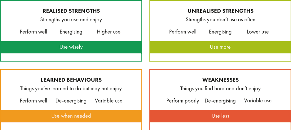 Cappfinity Strengths Profile